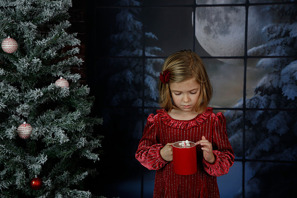 2021 Holiday Mini - Holl