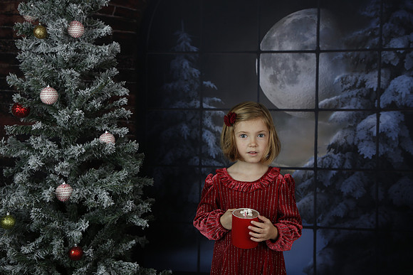 2021 Holiday Mini - Holl
