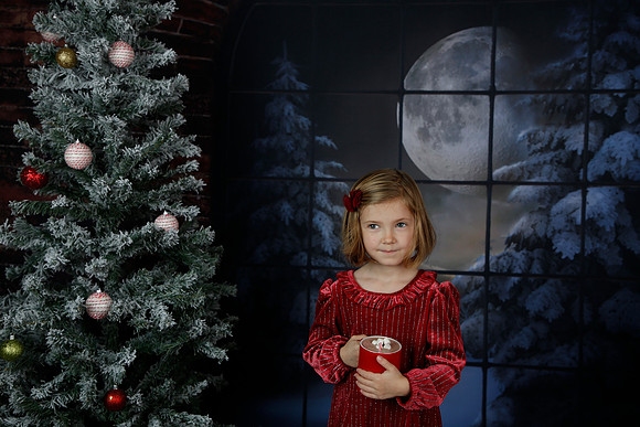 2021 Holiday Mini - Holl