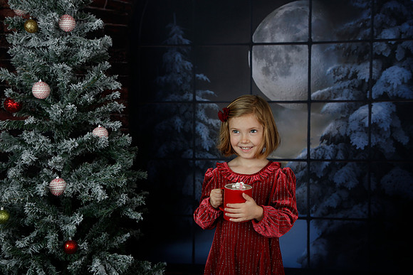 2021 Holiday Mini - Holl
