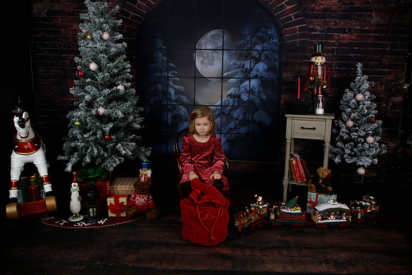 2021 Holiday Mini - Holl