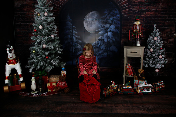 2021 Holiday Mini - Holl