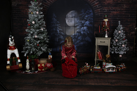 2021 Holiday Mini - Holl