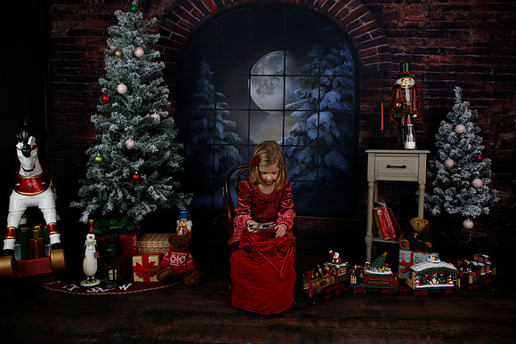 2021 Holiday Mini - Holl