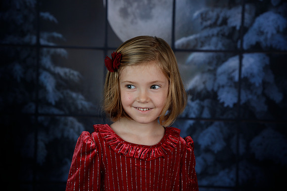 2021 Holiday Mini - Holl