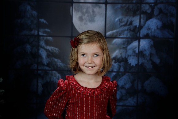2021 Holiday Mini - Holl