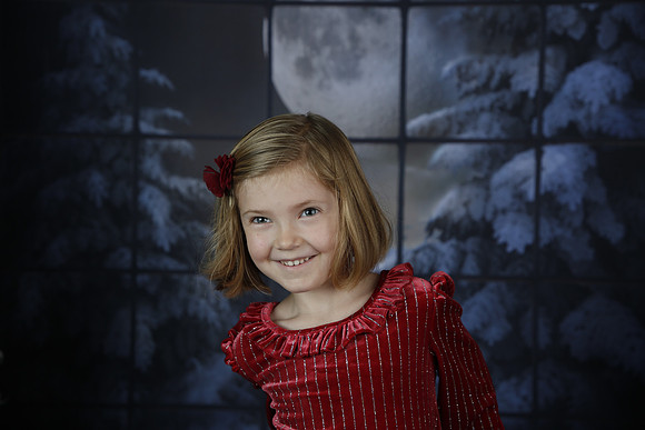 2021 Holiday Mini - Holl