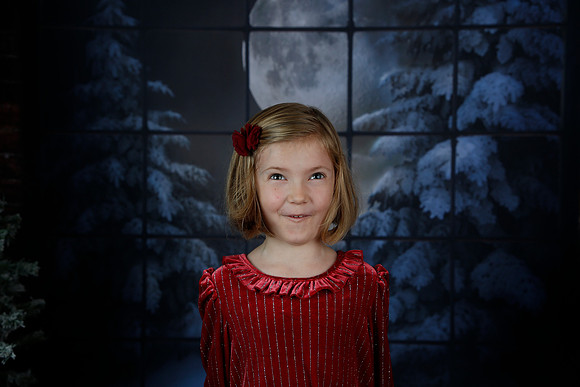 2021 Holiday Mini - Holl