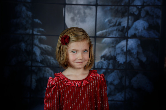 2021 Holiday Mini - Holl