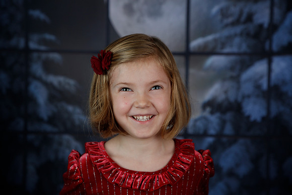 2021 Holiday Mini - Holl