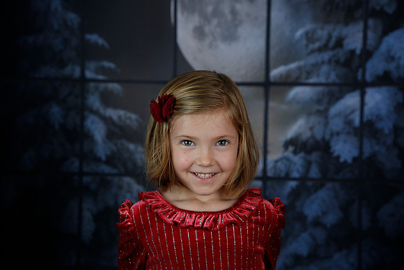 2021 Holiday Mini - Holl