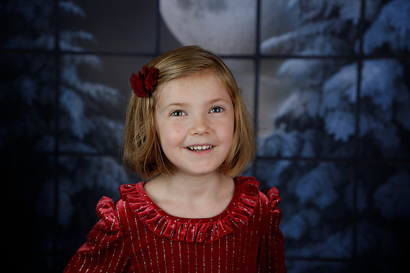 2021 Holiday Mini - Holl