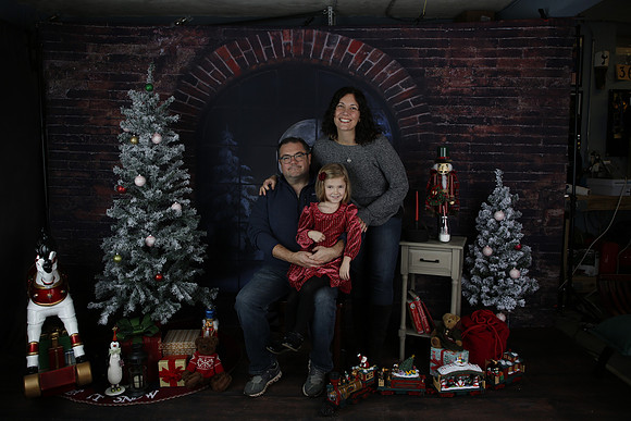 2021 Holiday Mini - Holl