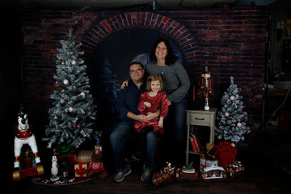 2021 Holiday Mini - Holl