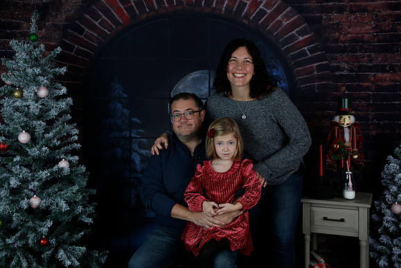2021 Holiday Mini - Holl