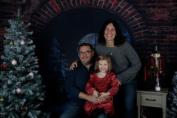 2021 Holiday Mini - Holl