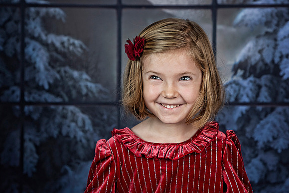2021 Holiday Mini Session - Holl
