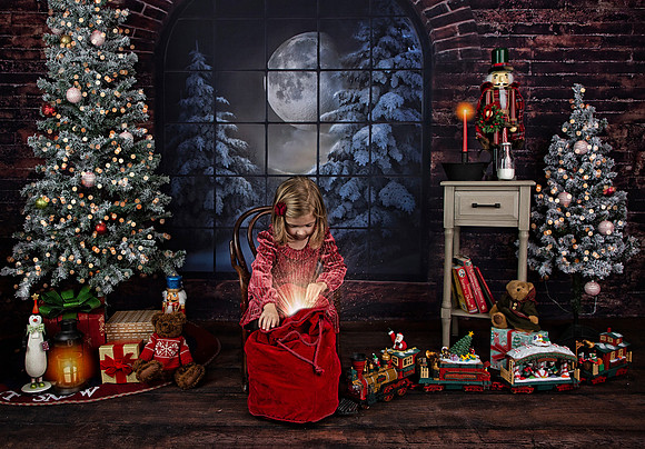 2021 Holiday Mini Session - Holl