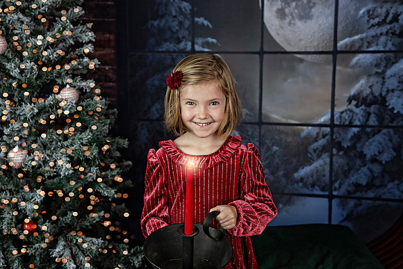 2021 Holiday Mini Session - Holl
