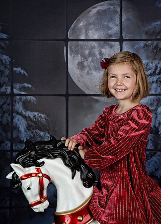 2021 Holiday Mini Session - Holl