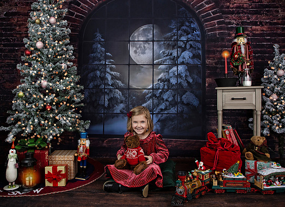 2021 Holiday Mini Session - Holl