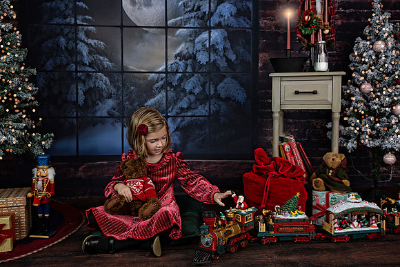 2021 Holiday Mini Session - Holl