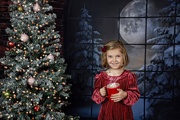 2021 Holiday Mini Session - Holl