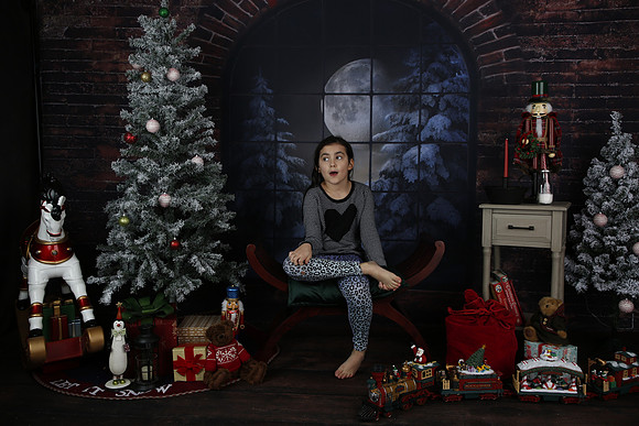 2021 Holiday Mini Session - Biland