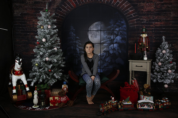 2021 Holiday Mini Session - Biland