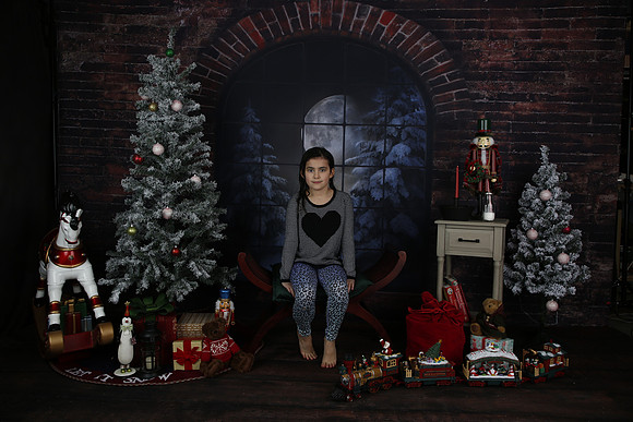 2021 Holiday Mini Session - Biland