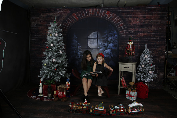 2021 Holiday Mini Session - Biland