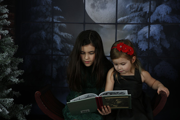 2021 Holiday Mini Session - Biland