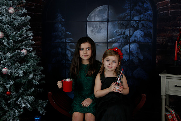 2021 Holiday Mini Session - Biland
