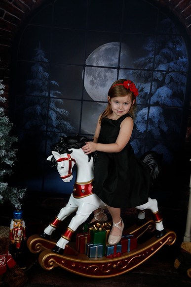 2021 Holiday Mini Session - Biland