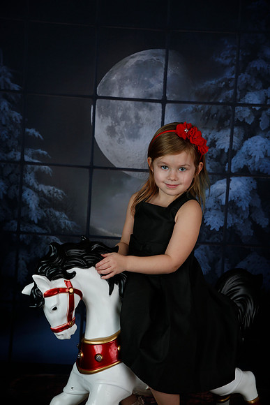 2021 Holiday Mini Session - Biland