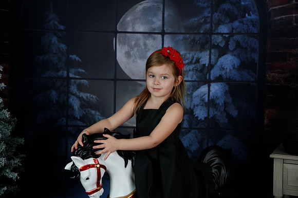 2021 Holiday Mini Session - Biland