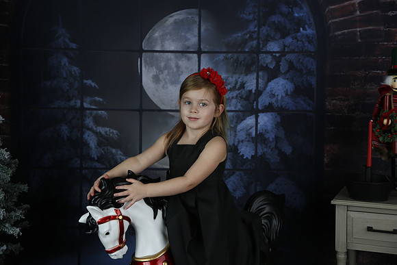 2021 Holiday Mini Session - Biland