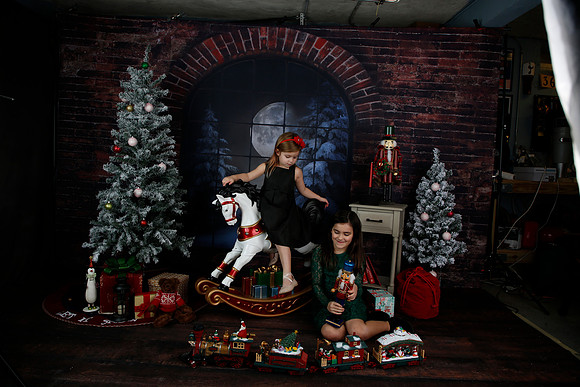 2021 Holiday Mini Session - Biland