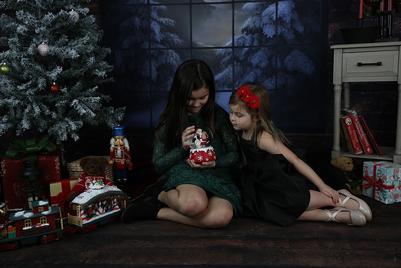 2021 Holiday Mini Session - Biland