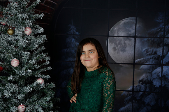 2021 Holiday Mini Session - Biland