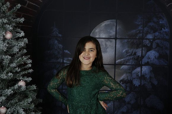 2021 Holiday Mini Session - Biland