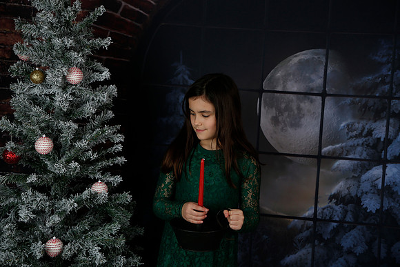 2021 Holiday Mini Session - Biland