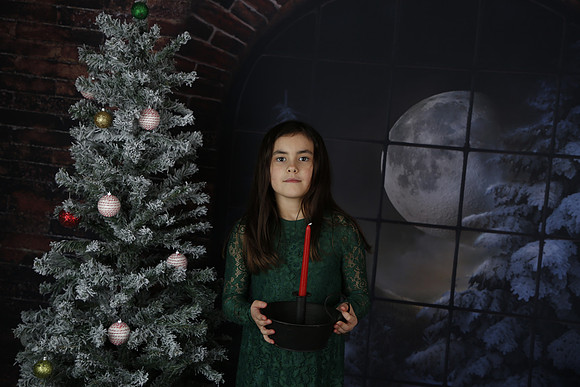 2021 Holiday Mini Session - Biland