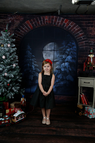 2021 Holiday Mini Session - Biland