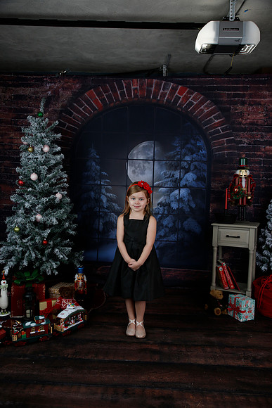 2021 Holiday Mini Session - Biland