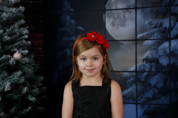 2021 Holiday Mini Session - Biland