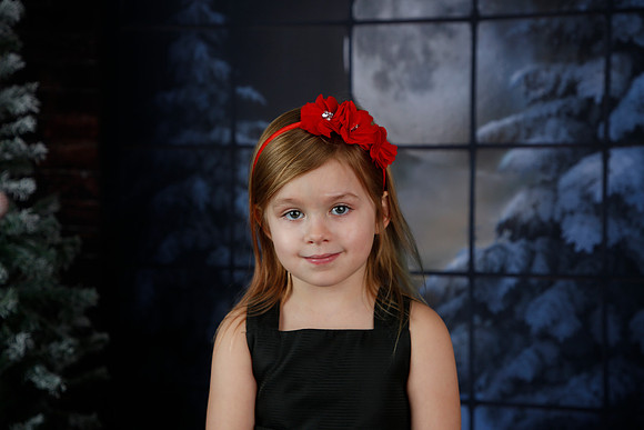 2021 Holiday Mini Session - Biland