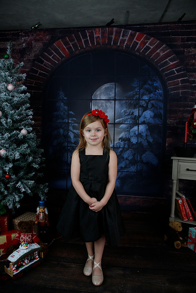 2021 Holiday Mini Session - Biland