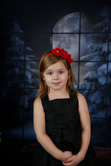 2021 Holiday Mini Session - Biland