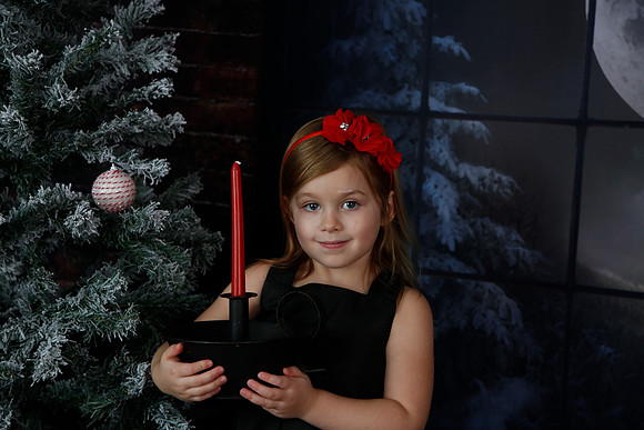 2021 Holiday Mini Session - Biland